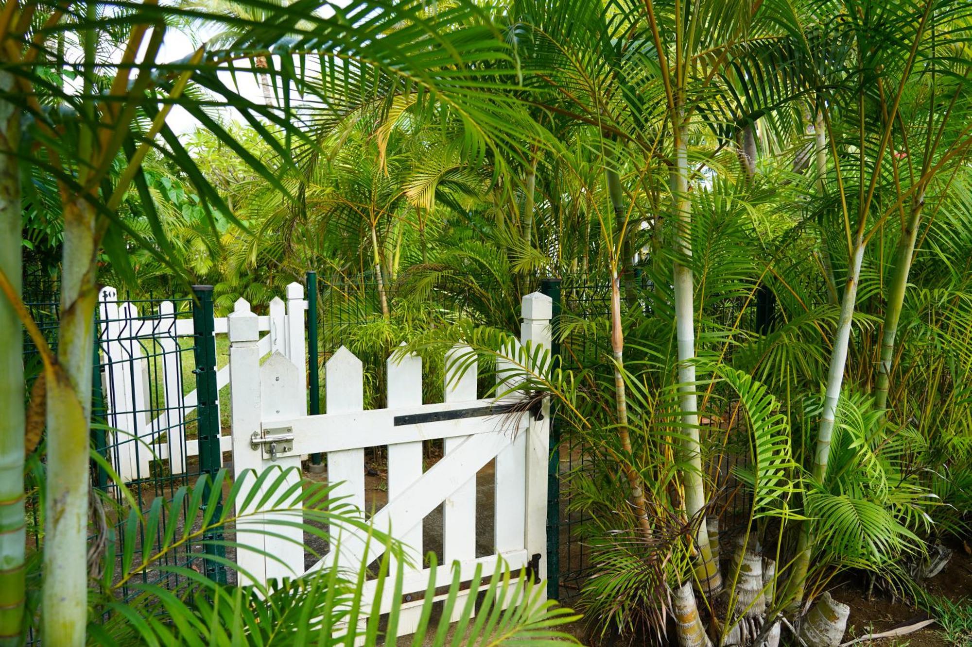 Dodo Coconut Lagon Ermitage Saint-Gilles-les-Bains Exterior photo